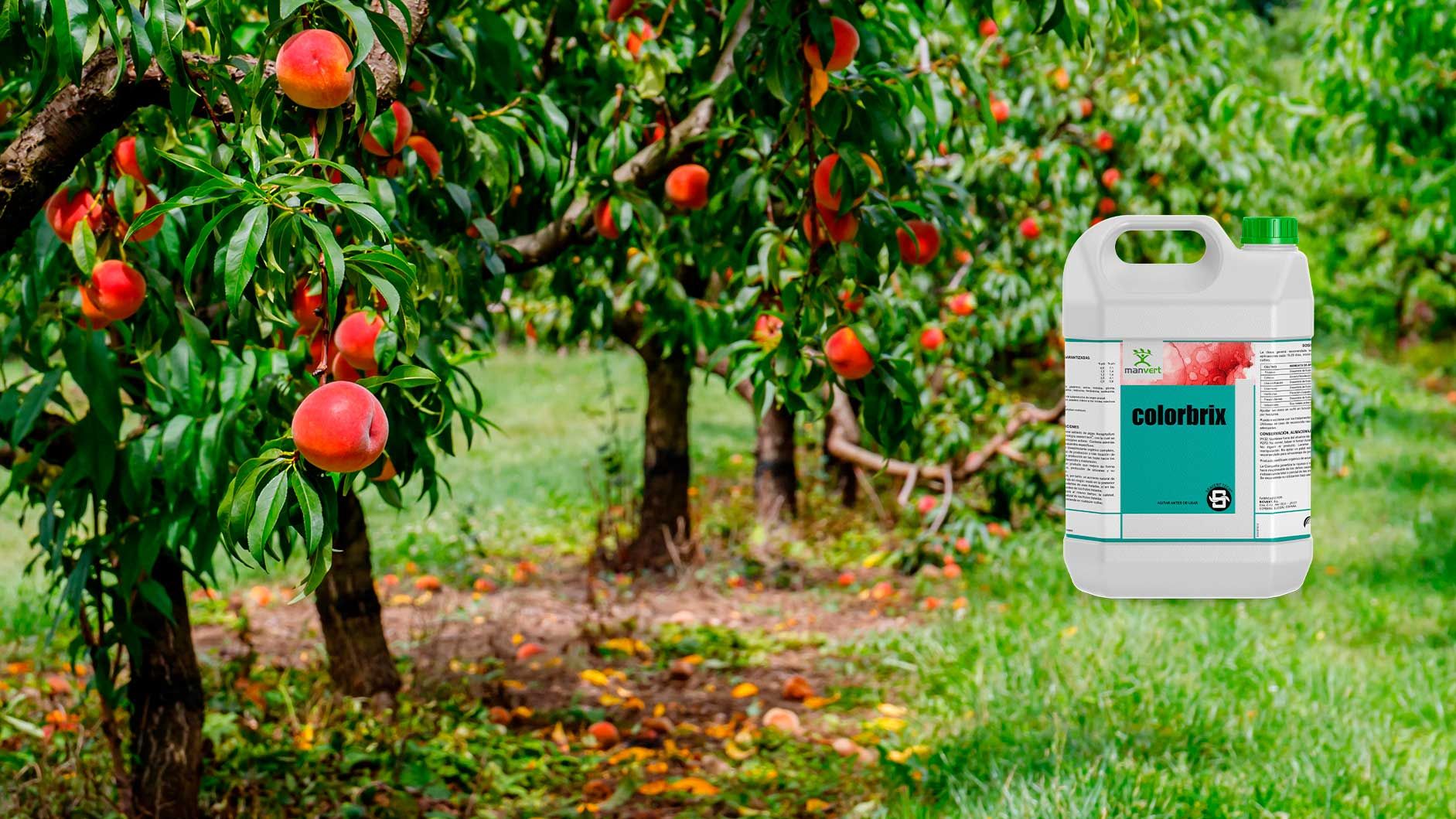 Cómo mejorar coloración y grados Brix en fruta y hortalizas